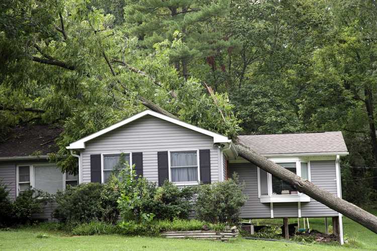 homeowners-insurance-cover-roof-damage-fallen-tree