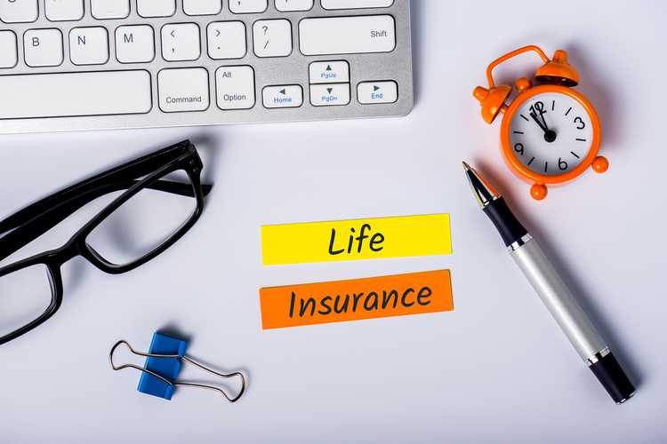 what is variable universal life insurance