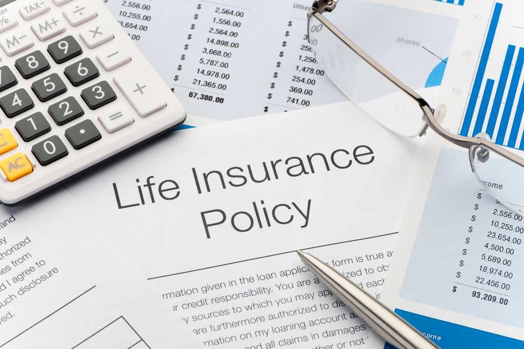 What is Single Premium Life Insurance?